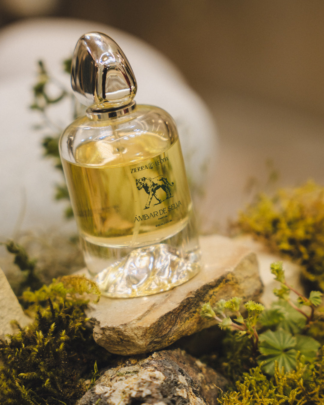 Ambar de Selva perfume