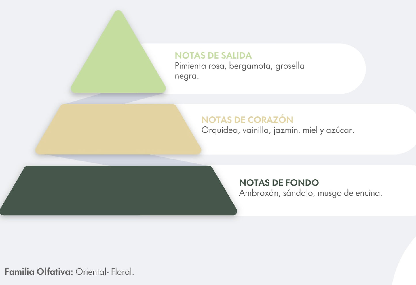 Ambar de Selva perfume