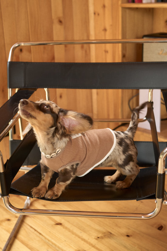 Fur-ever Tobacco Doggy Sweater