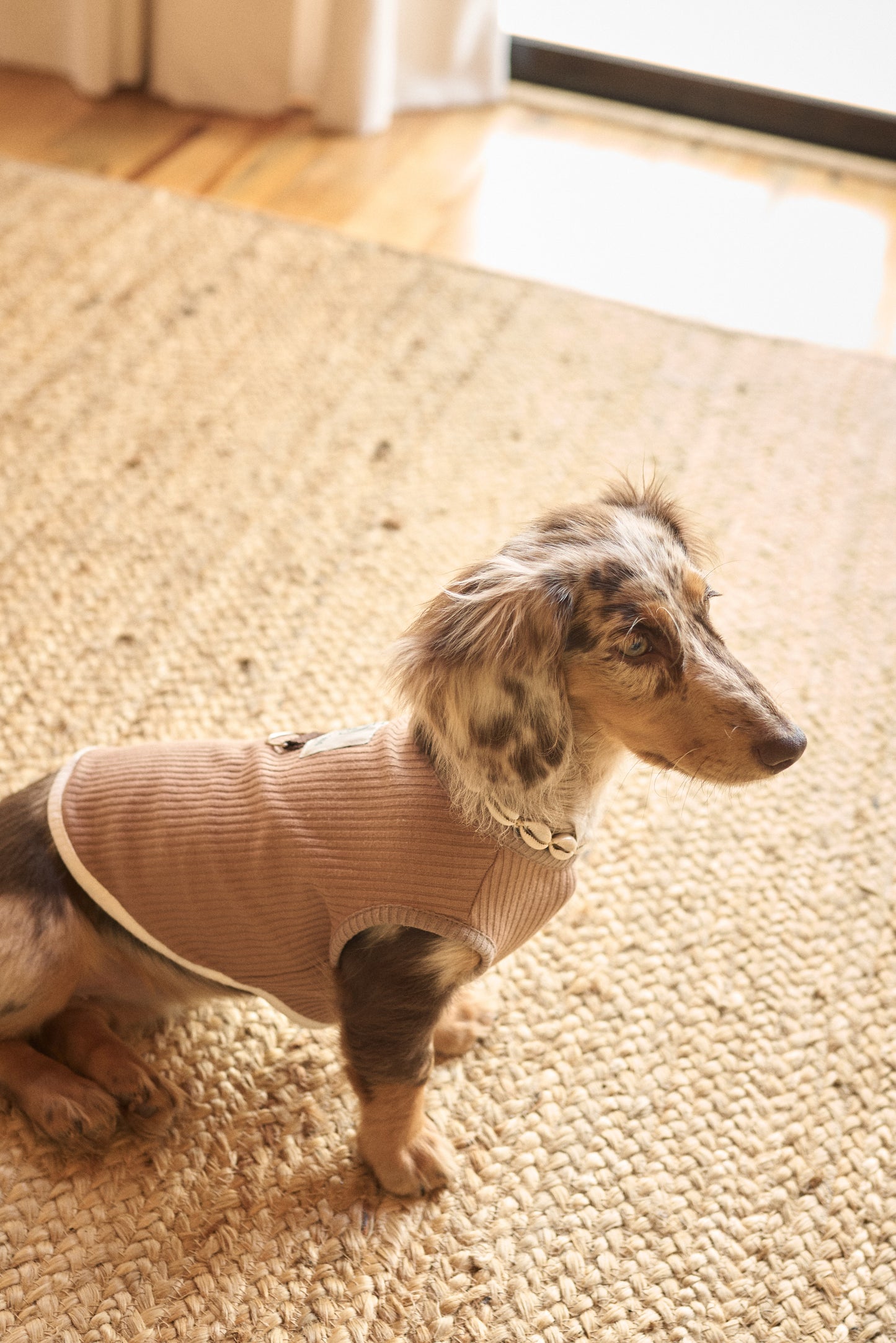 Fur-ever Tobacco Doggy Sweater
