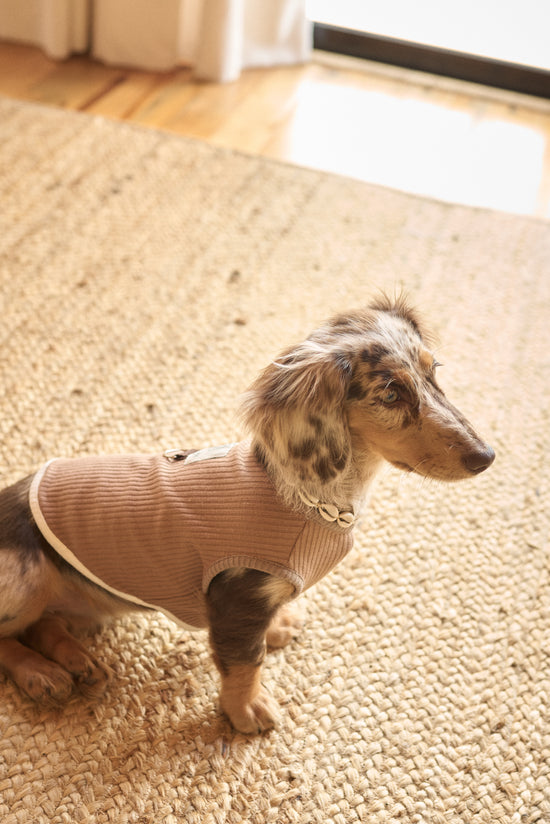Fur-ever Tobacco Doggy Sweater