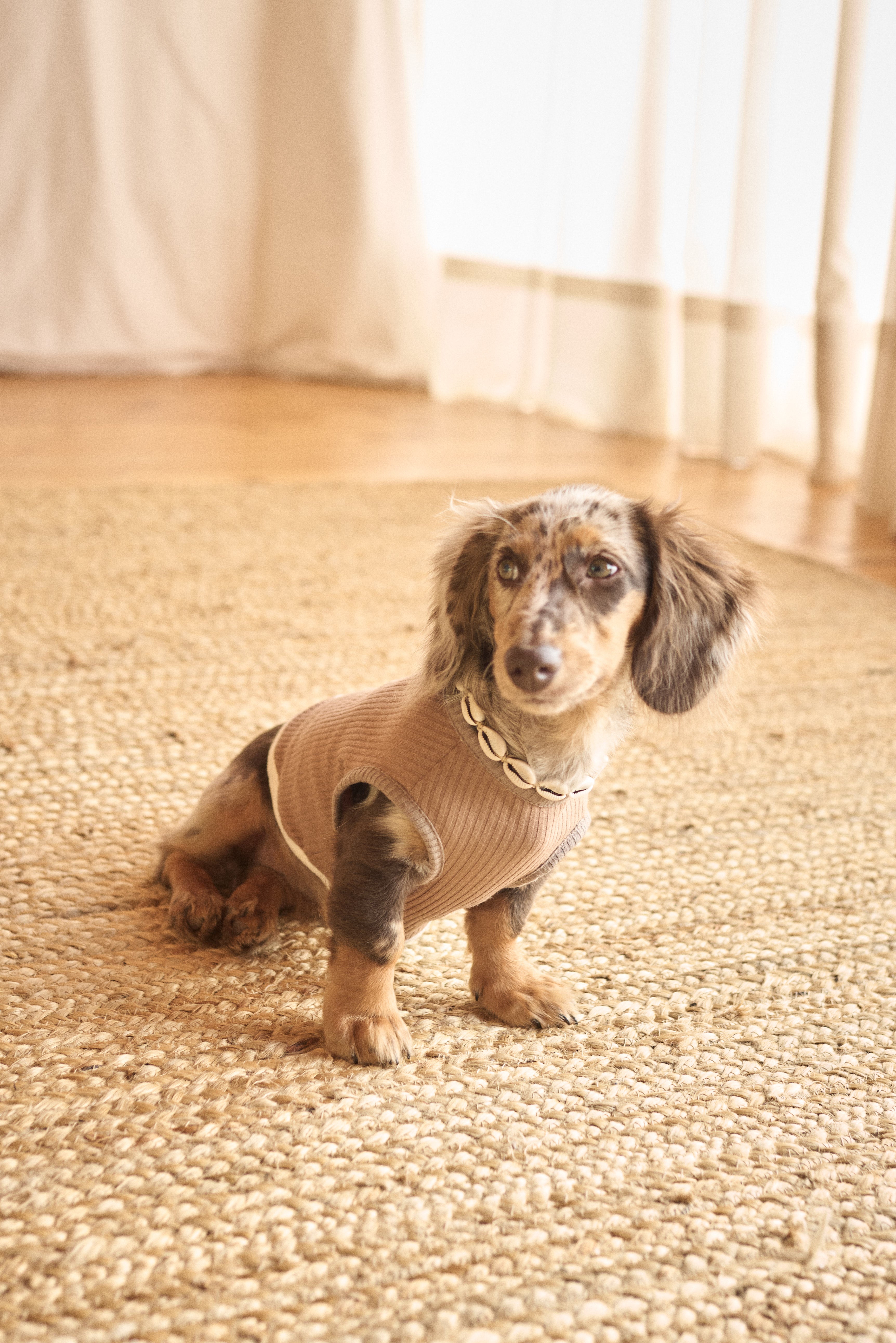 Fur-ever Tobacco Doggy Sweater
