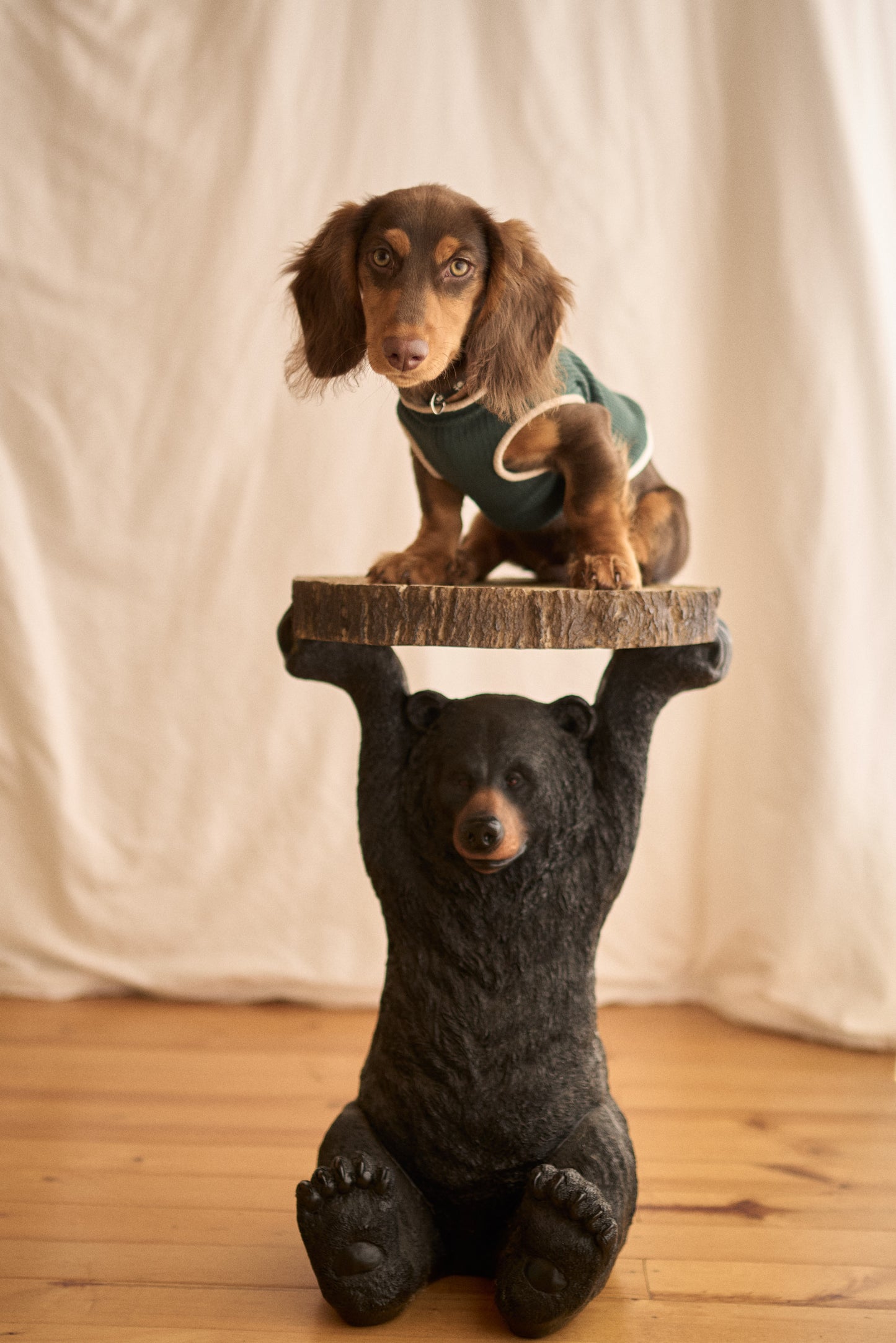 Fur-ever Grass Doggy Sweater