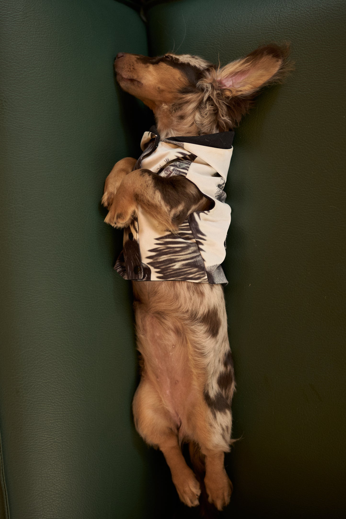Tutti Brownish Doggy Jacket