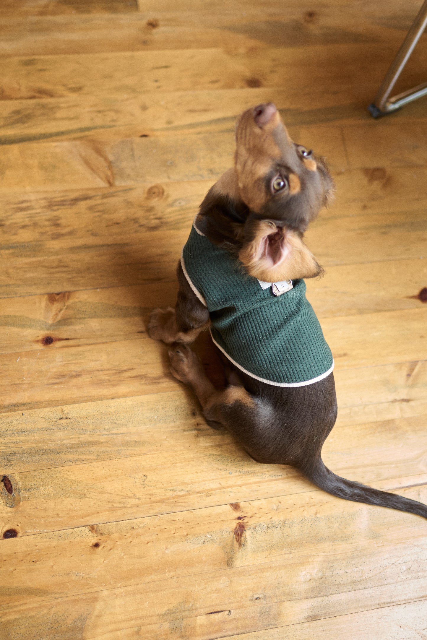 Fur-ever Grass Doggy Sweater